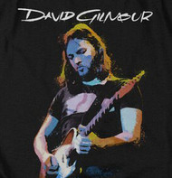 David Gilmour